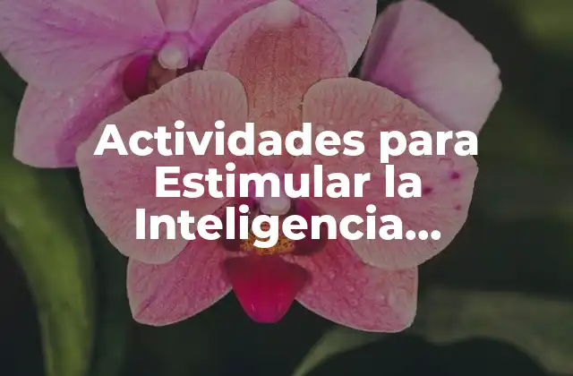 Actividades para Estimular la Inteligencia Lógico-matemática en Niños y Adultos