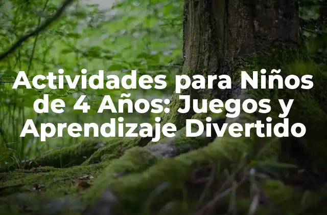 Actividades para Niños de 4 Años: Juegos y Aprendizaje Divertido