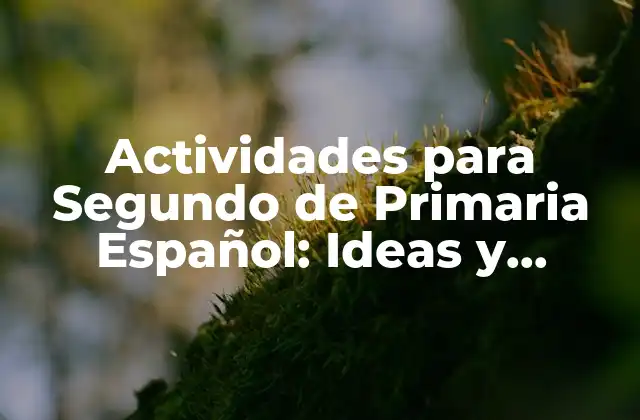 Actividades para Segundo de Primaria Español: Ideas y Recursos para Profesionales