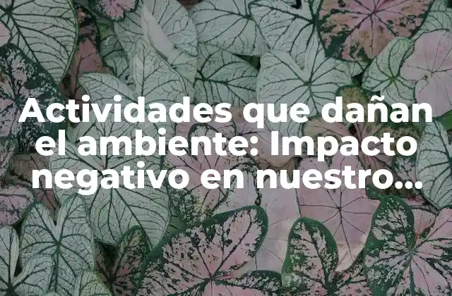 Actividades que Dañan el Ambiente: Impacto Negativo en Nuestro Planeta