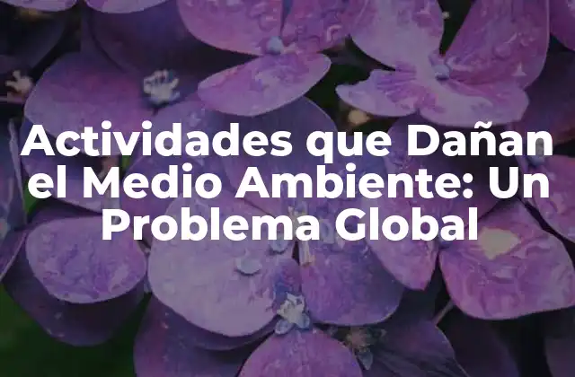 Actividades que Dañan el Medio Ambiente: un Problema Global 2 La Deforestación y la Tala de Árboles: Una Amenaza para la Biodiversidad