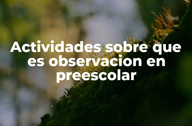 Actividades sobre que es Observacion en Preescolar