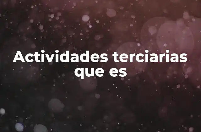 Actividades Terciarias que es