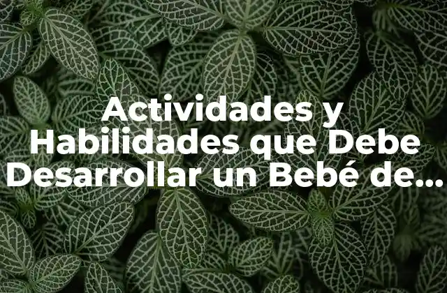 Actividades y Habilidades que Debe Desarrollar un Bebé de 9 Meses