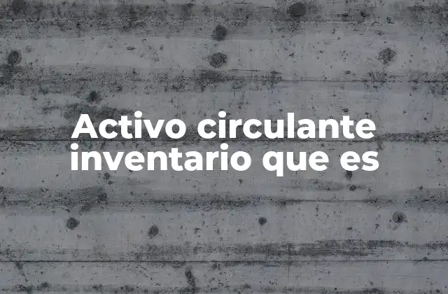 Activo Circulante Inventario que es