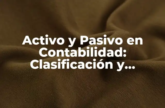 Activo y Pasivo en Contabilidad: Clasificación y Ejemplos