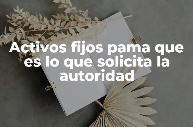 Activos Fijos Pama que es Lo que Solicita la Autoridad