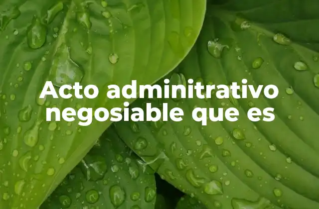 Acto Adminitrativo Negosiable que es