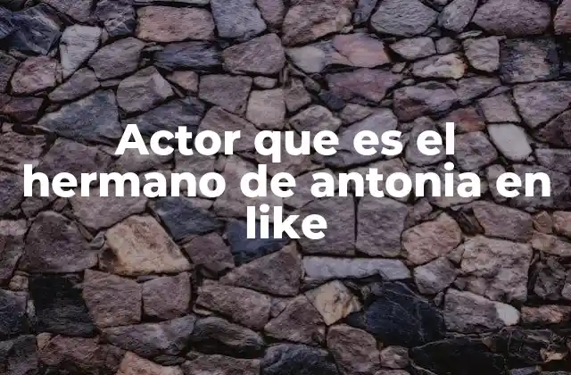Actor que es el Hermano de Antonia en Like 2 ¿Qué aporta Pedro Novaes a la serie Like?