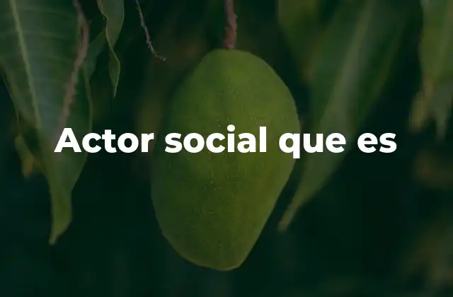 Actor Social que es