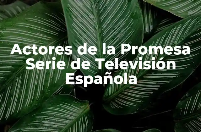 Actores de la Promesa Serie de Televisión Española