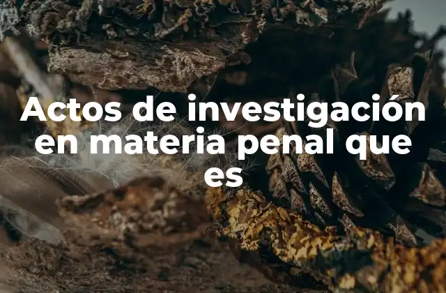 Actos de Investigación en Materia Penal que es