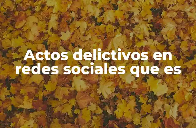 Actos Delictivos en Redes Sociales que es 2 El impacto de las conductas ilegales en el entorno digital
