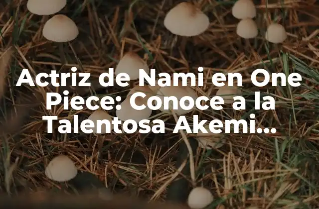 Actriz de Nami en One Piece: Conoce a la Talentosa Akemi Okamura