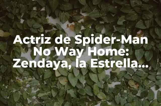 Actriz de Spider-man No Way Home: Zendaya, la Estrella Emergente 2 Orígenes y Carrera Actoral de Zendaya