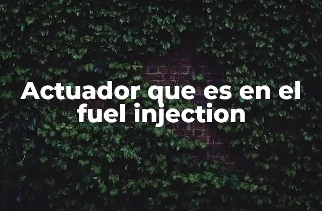 Actuador que es en el Fuel Injection