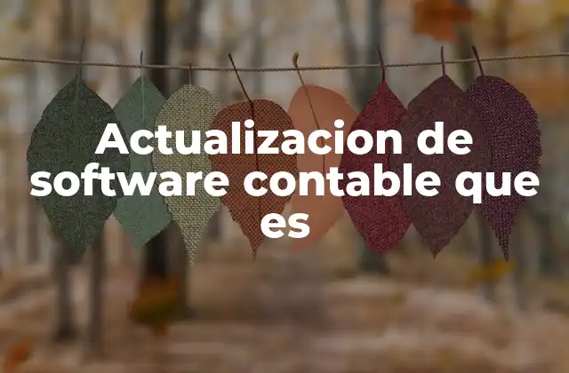 Actualizacion de Software Contable que es
