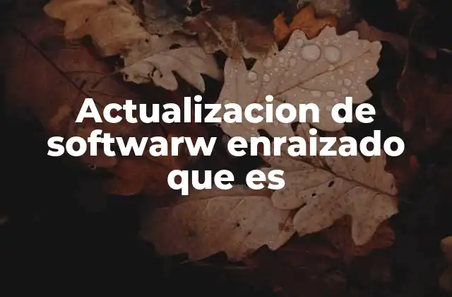 Actualizacion de Softwarw Enraizado que es