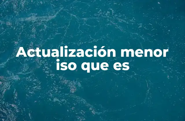 Actualización Menor Iso que es