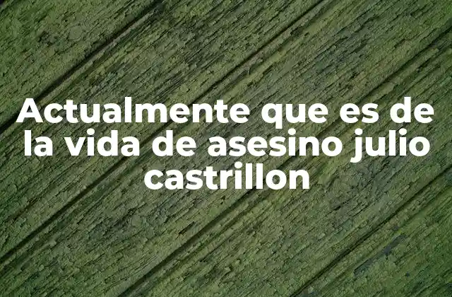 Actualmente que es de la Vida de Asesino Julio Castrillon