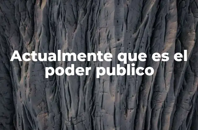 Actualmente que es el Poder Publico