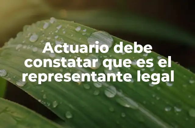 Actuario Debe Constatar que es el Representante Legal