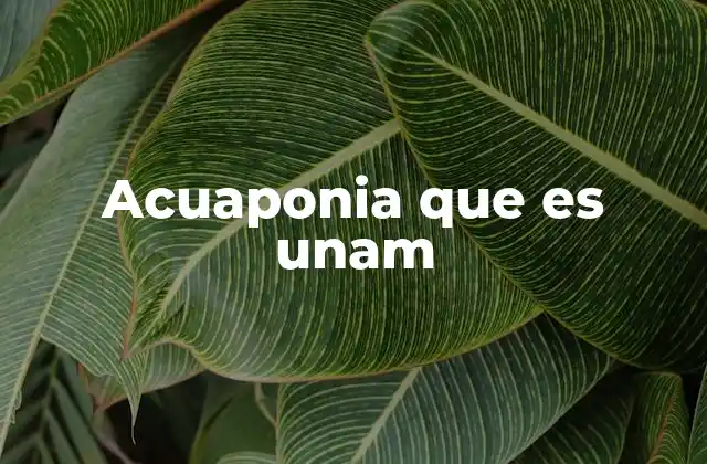 Acuaponia que es Unam