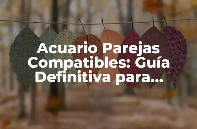 Acuario Parejas Compatibles: Guía Definitiva para Encontrar el Amor