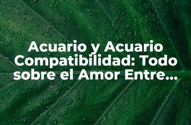 Acuario y Acuario Compatibilidad: Todo sobre el Amor entre Dos Acuarios