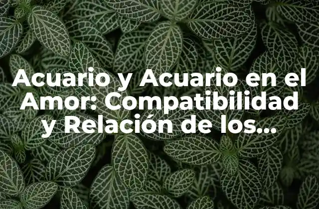 Acuario y Acuario en el Amor: Compatibilidad y Relación de los Signos Del Zodiaco