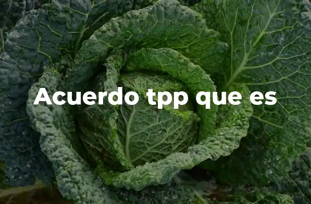 Acuerdo Tpp que es