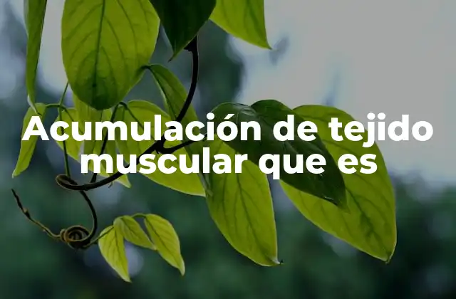 Acumulación de Tejido Muscular que es