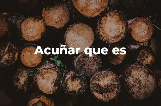 Acuñar que es