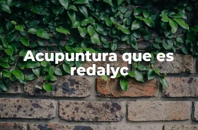 Acupuntura que es Redalyc
