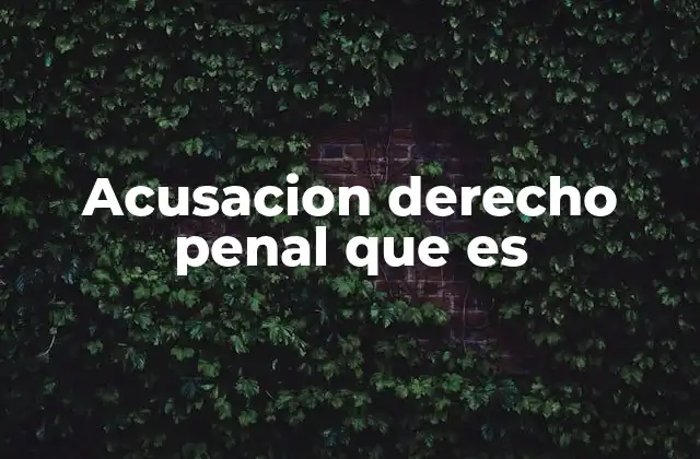 Acusacion Derecho Penal que es
