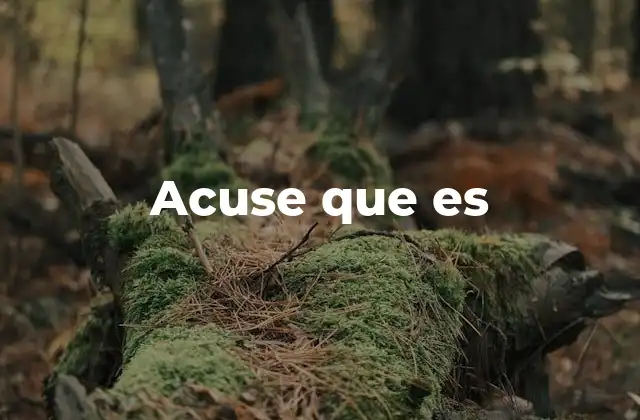 Acuse que es