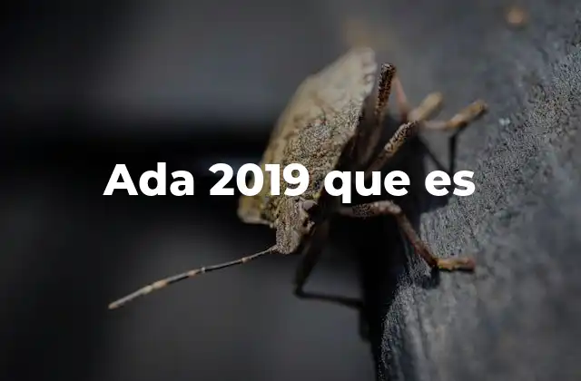 Ada 2019 que es