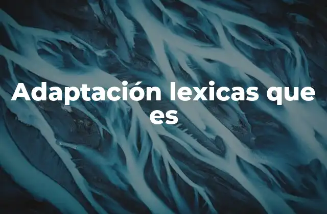 Cómo evolucionan las palabras en los idiomas