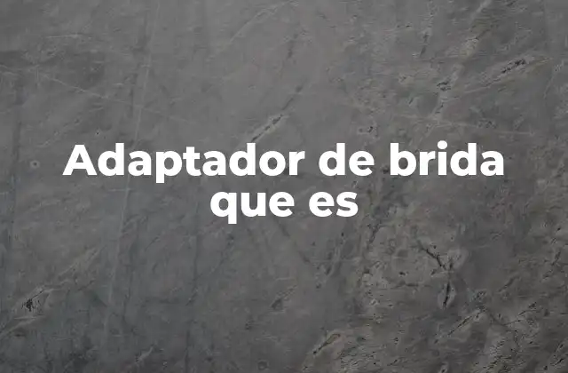 Adaptador de Brida que es