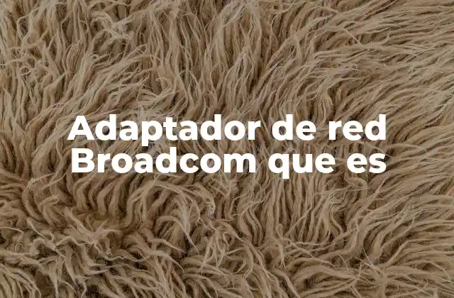 Funcionamiento y tipos de adaptadores de red Broadcom