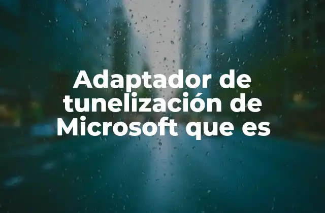 Adaptador de Tunelización de Microsoft que es