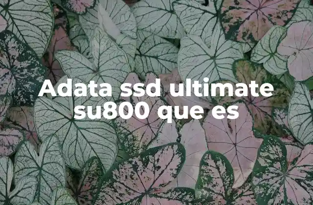 Adata Ssd Ultimate Su800 que es 2 Características principales del ADATA SSD Ultimate SU800