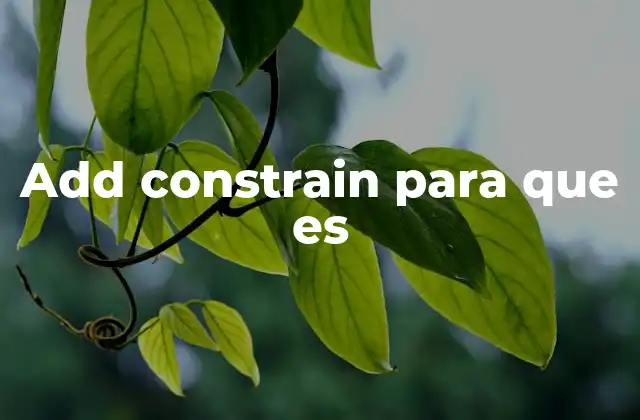 Add Constrain para que es