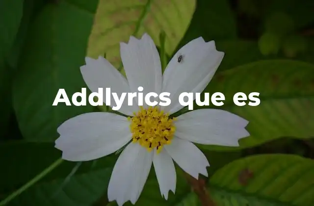 Addlyrics que es