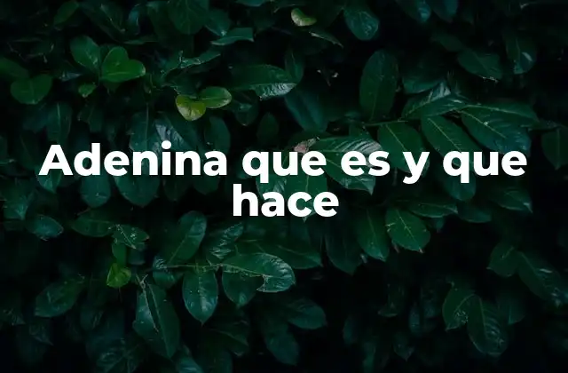 Adenina que es y que Hace