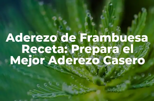 Aderezo de Frambuesa Receta: Prepara el Mejor Aderezo Casero