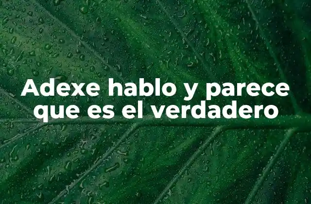 Adexe Hablo y Parece que es el Verdadero 2 El impacto de la autenticidad en la comunicación moderna