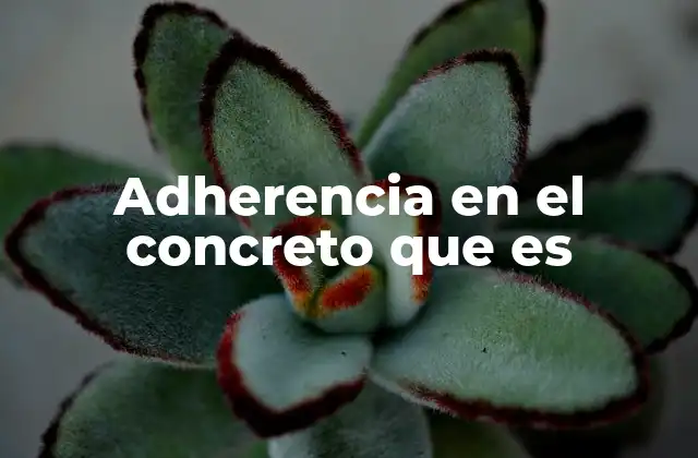 Adherencia en el Concreto que es