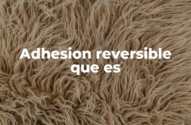 Adhesion Reversible que es