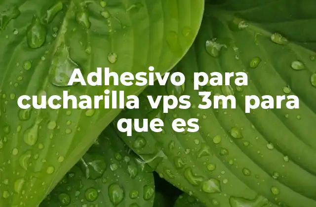 Adhesivo para Cucharilla Vps 3m para que es 2 Aplicación del adhesivo en la fabricación de prótesis dentales
